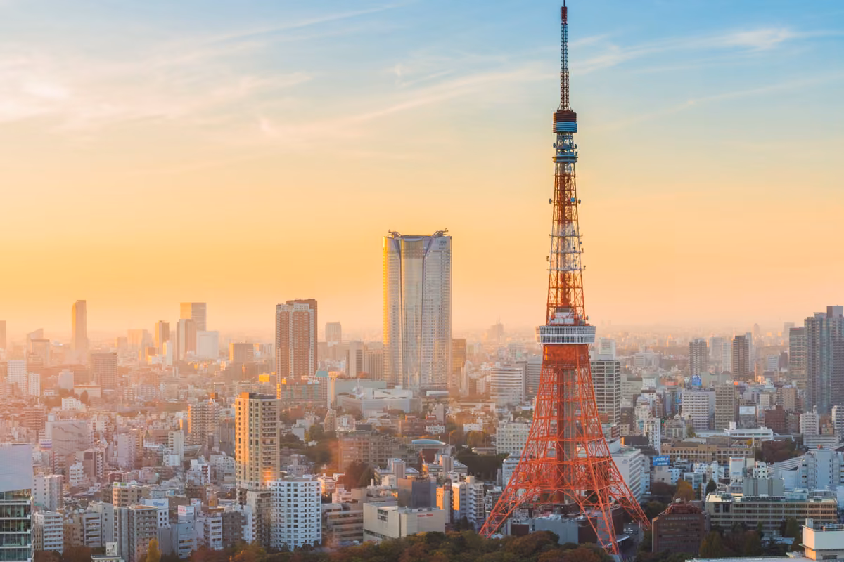 Tokyo Tower & Shinjuku Skyline in Tokyo, Japan — AMG Visa Guide