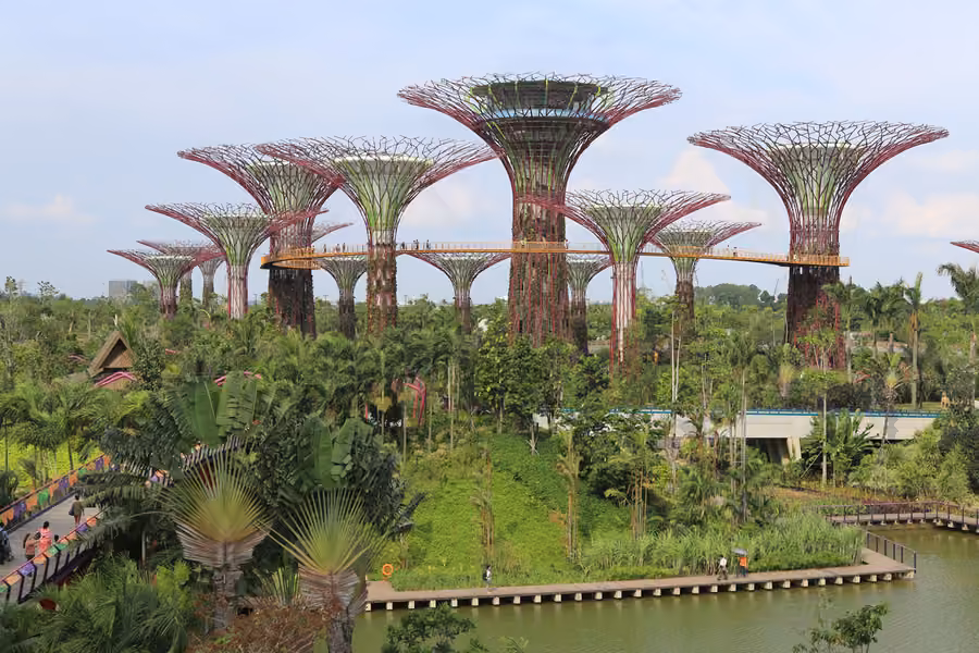 Marina Bay Sands & Supertree Grove in Singapore, Singapore — AMG Visa Guide